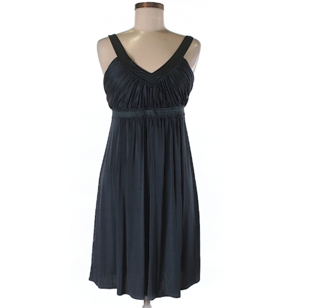 $220 BCBG Max Azria Designer Dress